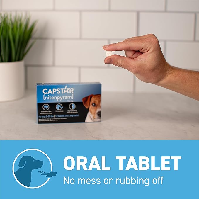 Capstar (Nitenpyram) Fast-Acting Oral Flea Treatment for Dogs 2-25 Lbs, Vet-Recommended Medication Tablets, Flea Tablets for Dogs Start Killing in 30 Minutes, 12 Doses (Includes Two 6-Count Boxes)