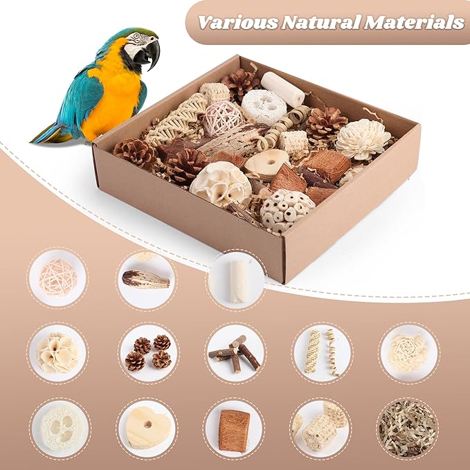 Bird Toys for Parakeets, Natural Cockatiel Foraging Toy Box for Parrots, Conures, Budgies, Macaws, Lovebirds, and Other Small to Medium Birds