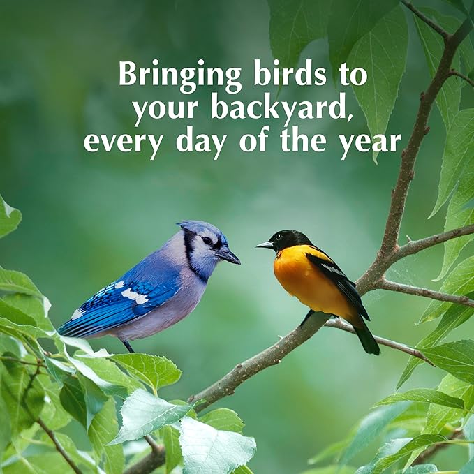 C&S Oriole Delight No Melt Suet Dough, Suet Cakes for Wild Birds, 11.75 Ounces, Pack of 8