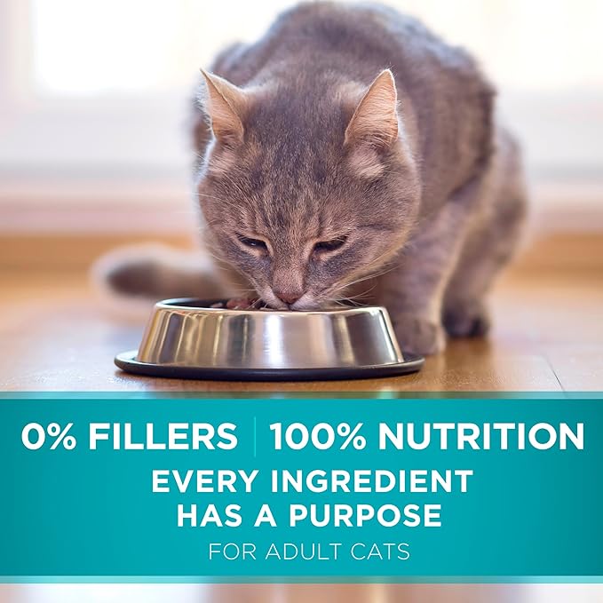 Purina ONE Natural Dry Cat Food, Tender Selects Blend With Real Chicken - 16 Lb. Bag