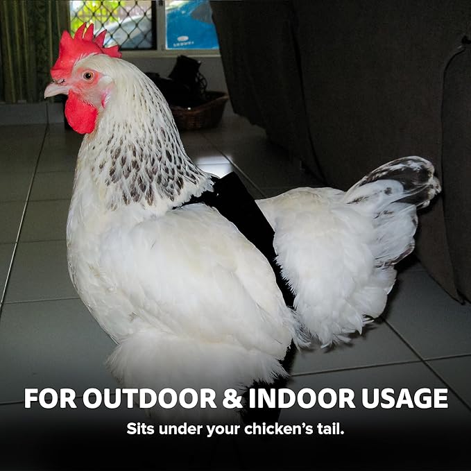 Hen Holster Bikini Diaper, Bird Diaper & Harness for Hens, Roosters, Ducks, Geese - with Removable Vinyl Liner, Adjustable Fit for Outdoor Adventures & Indoor Use - Easy to wear - S/M, Black