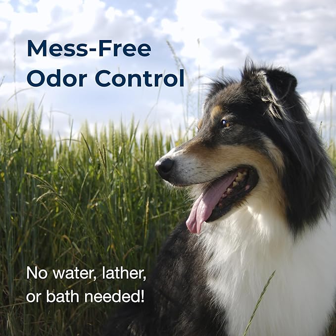 PetAg Fresh ’n Clean Cologne Spray - Baby Powder Scent - 6 oz - Controls Odor & Keeps Dogs Smelling Fresh