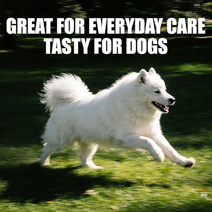 Just Try Coenzyme Q10 Heart Healthy Bites for Dogs, Advanced CoQ10 and Taurine Supplement, Chicken Flavored Soft Chews, Supports Heart Function, 300 Count