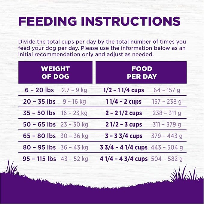 Wellness Complete Health Adult Dry Dog Food, Wholesome Grain Kibble, Natural, Chicken Free, Whitefish and Sweet Potato Recipe, 30 lb Bag