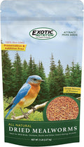 Dried Mealworms - 100% Natural, Non-GMO, High Protein, Bulk Insect Treat for Chicken, Laying Hen, Chick, Wild Bird, Bluebird, Duck, Goose, Turkey, Chickadee, Titmice, Wren, Reptile, Fish (5 lb.)
