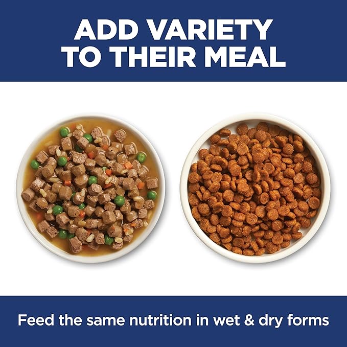 Hill's Science Diet Adult 1-6 Sensitive Stomach & Skin Dry Cat Food, Pollock & Barley, 6 lb. Bag (Updated Formula)