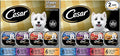 Cesar Loaf in Sauce Wet Dog Food Rotisserie Chicken,Filet Mignon,Angus Beef,and Ham & Egg Flavors Variety Pack,Wet Food for Dogs,3.5 oz Easy Peel Trays,24 Count (Pack of 2)