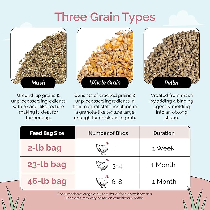 Mile Four Organic Chicken Feed (23 lbs) Layer Mash, Non-GMO, USA Grown, 16% Protein, Corn-Free, Soy-Free, Non-Medicated Feed for Chickens