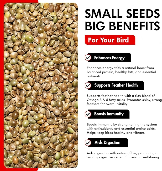 Morning Bird Hemp Seeds 9 lbs– High in Natural Protein, Healthy Fats, Omega 3 and 6 Fatty Acids, Delicious Natural Flavor, Supports Feather Growth & Overall Health