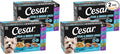 Cesar Wet Dog Food Steak and Chicken Lovers Variety Pack,Adult,Wet Food for Dogs with Real Beef or Chicken,3.5 oz Easy Peel Trays,36 Count (Pack of 2)