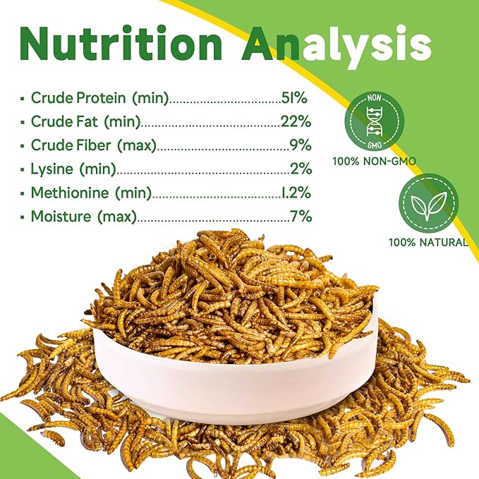 600g Dried Mealworms Treat for Chicken, 100% Natural Non-GMO High Protein Organic Chicken Feed for Birds, Ducks, Layer Hens