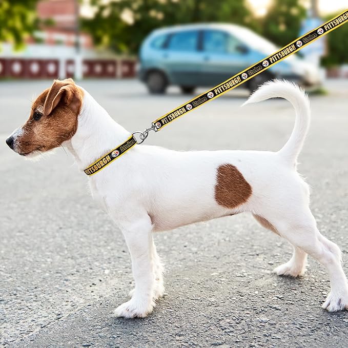 NFL PET Leash Pittsburgh Steelers Dog Leash, Medium Football Team Leash for Dogs & Cats. A Shiny & Colorful Cat Leash & Dog Leash Licensed by The NFL