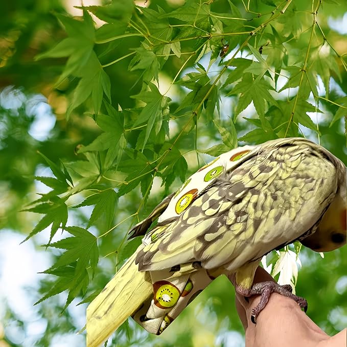 2Pcs Bird Diapers Bird Harness Flight Suits Diapers with 2Pcs 80 Inch Flying Leash Parrot Nappy Pigeon Pants Urine Wet Suit Costume for Cockatiel Conure Macaw Budgies Parakeet-Kiwi&Banana