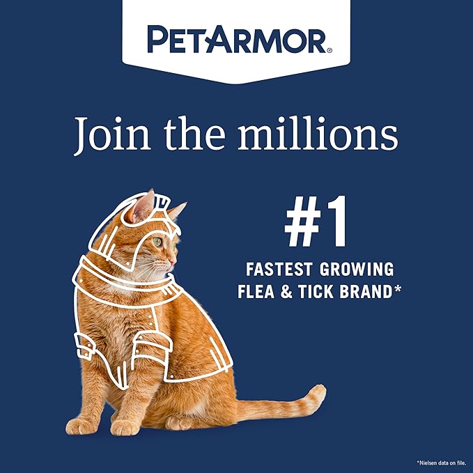 PetArmor Extend Flea & Tick Treatment & Prevention Collar for Cats, 8 Months of Protection, Waterproof, Kills Fleas, Ticks, and Flea Larvae, 1 Count