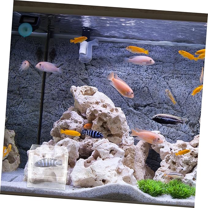 VICASKY Fish Breeding Box Acrylic Fish Tank Accessory for Safe Fry Separation Design for Aquarium Use Lightweight and Portable Isolation Container