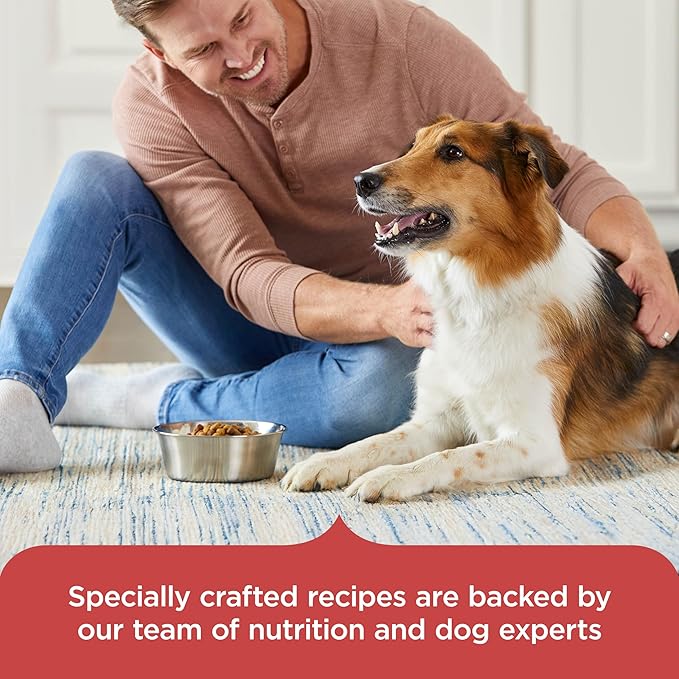 Nutrish Rachael Ray Adult Dry Dog Food Real Salmon, Veggies & Brown Rice Recipe, 4.5 lb. Bag