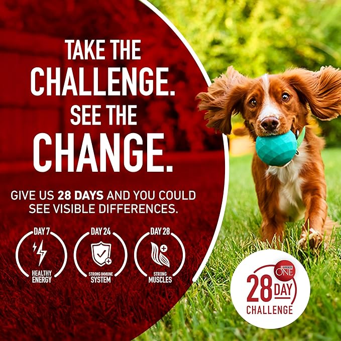 Purina One Plus Digestive Health Formula Dry Dog Food Natural with Added Vitamins, Minerals and Nutrients - 16.5 Lb. Bag