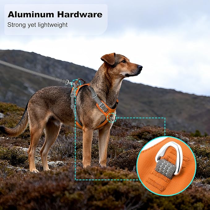 No Pull Dog Harness – Adjustable Reflective Nylon Vest for Small Medium Large Dogs, Escape Proof Training Harness with Leather Control Handle, Lightweight Aluminum Hardware (Orange, S)