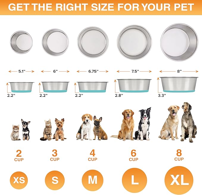 Neater Pet Brands Stainless Steel Dog Bowls with Non-Slip Rubber Bottom – Set of 2, 8 Cup (64 oz), Teal - Heavy Duty Metal Dog Bowl, Dishwasher Safe, Food or Water Bowl, Ideal for Large Dogs