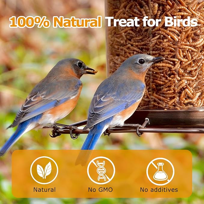 10LB Dried Mealworms, Non-GMO Meal Worms for Chickens & Birds, High Protein Chicken Feed, Natural Chicken Worms Ideal for Wild Birds, Reptile Tasty Bird Food