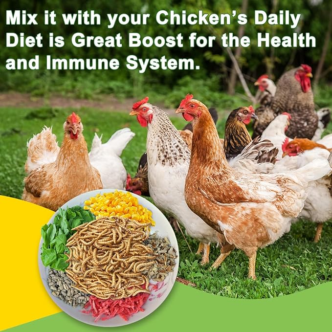 5LB Dried Black Soldier Fly Larvae Treat for Chicken, Non-GMO More Calcium Than Dried Mealworms 100% Natural High Protein Chicken Feed for Wild Birds, Layer Hens