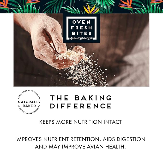 Oven Fresh Bites Natural Baked Treats, All-Natural Bird Treat Parrot Cookies, 4 Oz, Almond/Peanut Butter/Corn Fritter, 3-Pack