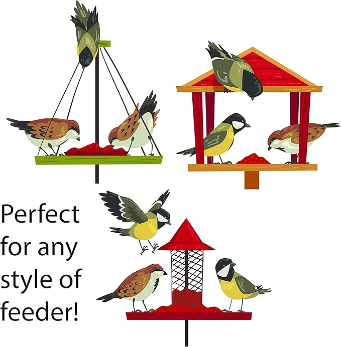 | Four Season | City Blend | Fancy Wild Bird Food | Backyard Songbird| 4 Pounds