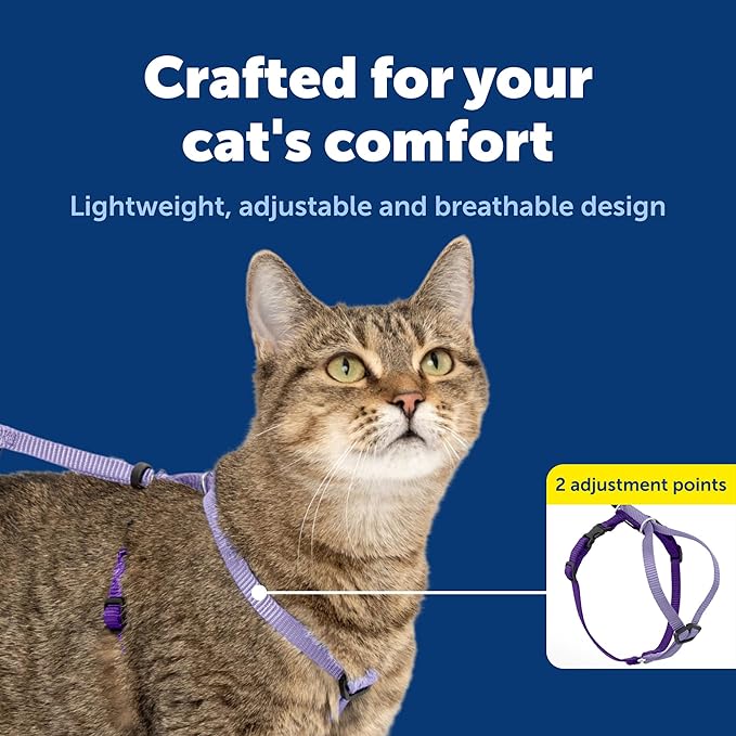 PetSafe Come With Me Kitty Cat Harness & Bungee Leash - Comfortable Cat Harness with Lightweight Bungee Leash for Outdoor Fun - More Secure Walks - Small - Lilac
