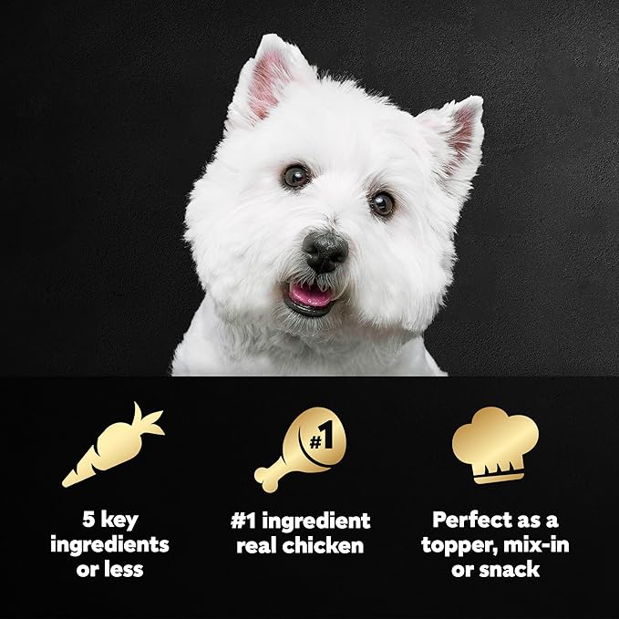 Cesar Simply Crafted Adult Wet Dog Food Toppers for Dry Food, Chicken, 1.3 oz Tubs, 24 Count (Pack of 2)