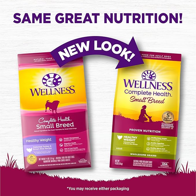 Wellness Complete Health Dry Dog Food, Small Breed, Wholesome Grains, Natural, Healthy Weight Turkey & Brown Rice Recipe, (4-Pound Bag)