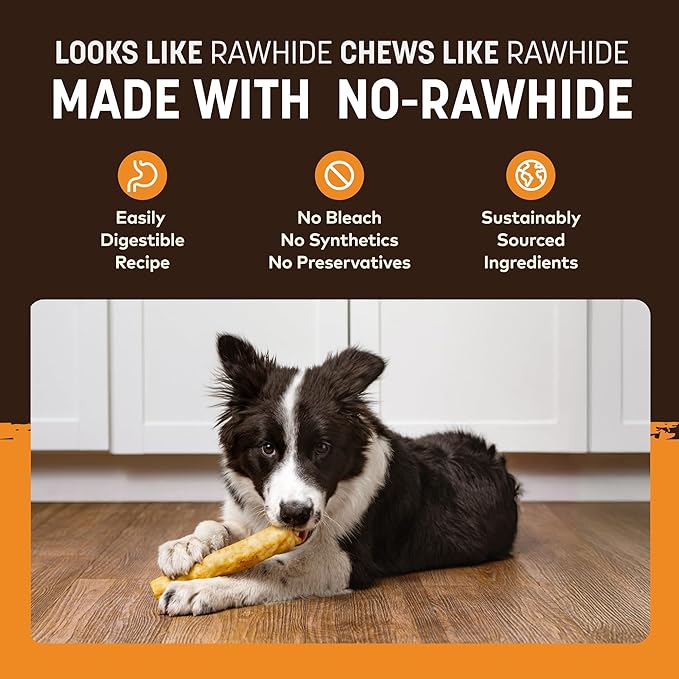 Earth Animal No Hide Chews - Long Lasting Rawhide Free Medium Dog Chews Rolls, Chicken - 2 Count