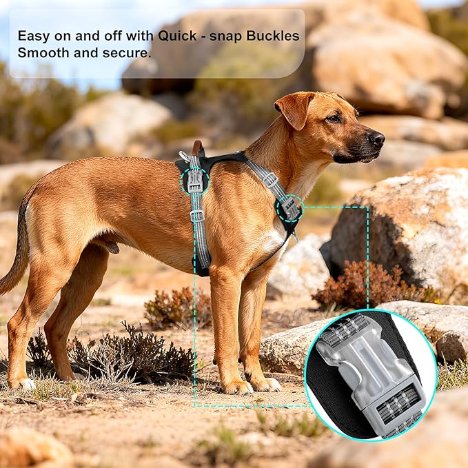 No Pull Dog Harness – Adjustable Reflective Nylon Vest for Small Medium Large Dogs, Escape Proof Training Harness with Leather Control Handle, Lightweight Aluminum Hardware (Black, S)