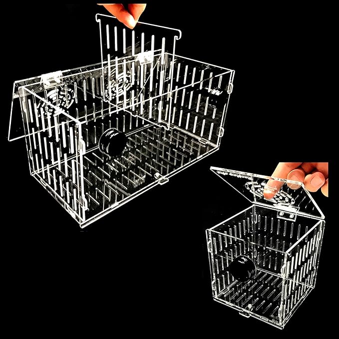 Magnetic Acclimation Box Large / 16x6x8