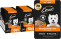 Cesar Filets in Gravy Wet Dog Food Rotisserie Chicken Flavor, Wet Food for Dogs, 1.76 oz. Mini-Pouches, 20 Count