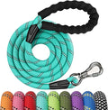 NTR 6FT Heavy Duty Dog Leash, Teal Rope with Swivel Lockable Hook and Comfortable Padded Handle, Cat & Dog Leash for Small to Large Dogs, Training, Playing, Camping, or Backyard