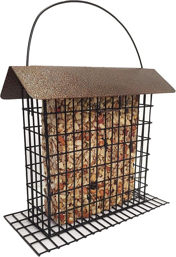Wildlife Sciences Songbird Feast Large Seed Cakes | 1.5-2 lb Large Bird Seed Cakes for Wild Birds (Pack of 4)