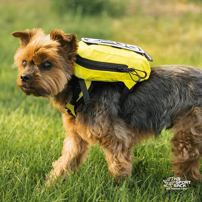K9 Sport Sack Walk-On - X-Small, Anthracite Black - Ideal for Dogs with 9-12” Back Length - Lightweight, Packable, Backpack-Style Carrier - Includes Compatible Harness & Storage Bag
