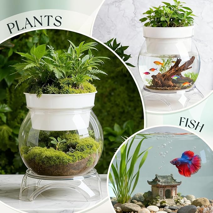 Geelin 0.5 Gallon Plastic Aquaponic Betta Fish Tank Aquaponic with Base and Top, Small Bowl Shatterproof Ecosystem Aquarium with Clear Clarity for Terrarium, Flower Vase Betta Fish Centerpiece Gifts