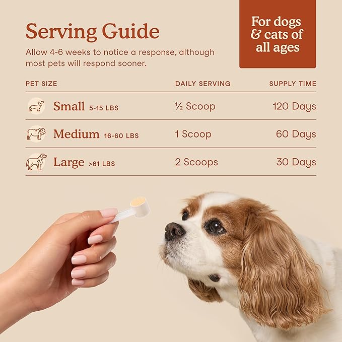 Fera Pets Probiotics for Dogs & Cats with Prebiotics - USDA Organic - Gut Health Powder Supplement with 12 Strains & 5 Billion CFUs - Supports Immunity, Energy and Skin & Coat - 60 Scoops