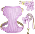 Didog Cute Small Dog Harness Collar and Leash Set with Bowtie, Breathable Soft Mesh Padded Puppy Harness, Dog Harness for Small Dogs Daily Walks Parties, Holiday Gatherings & Gifts, Purple, S