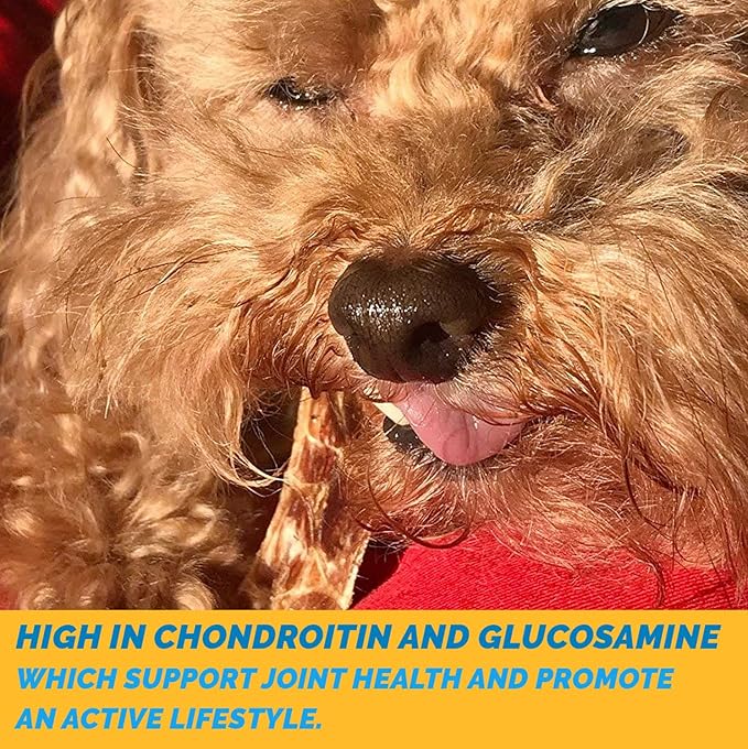 123 Treats Esophagus Dog Treats - (Free Form - 1 lb) 100% Natural, Flat Gullet Sticks for Dogs, Beef Jerky Dog Treats Strips, NO Preservatives, Hormones, or Antibiotics