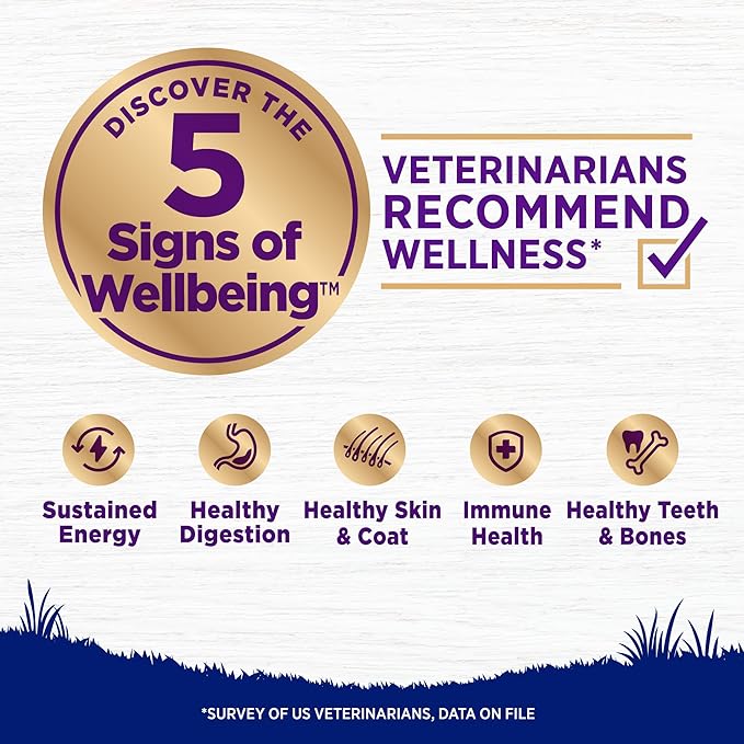 Wellness Complete Health Large Breed Adult Dry Dog Food, Wholesome Grain Kibble, Natural, Chicken and Brown Rice Recipe, 30 lb Bag