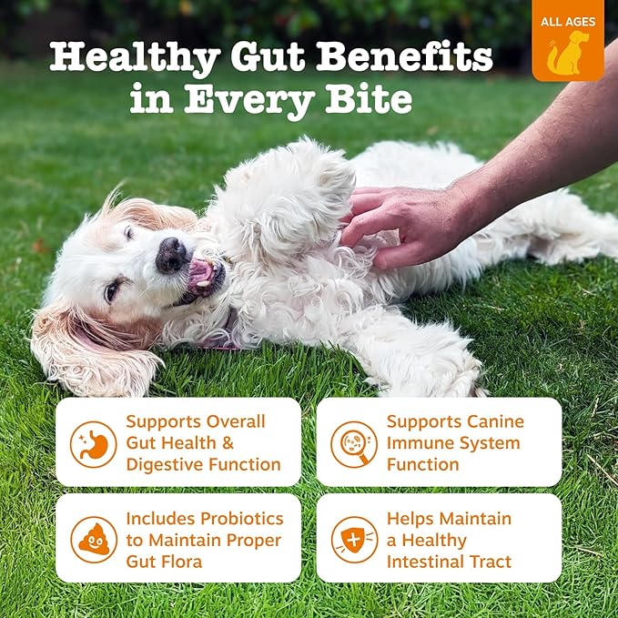 Zesty Paws Probiotics for Dogs, Digestive Enzymes Gut Flora, Digestive Health, Diarrhea & Bowel Support, DE111, Dog Probiotics Soft Chew for Pet Immune System, Chicken, 90 Ct (Pack of 2)