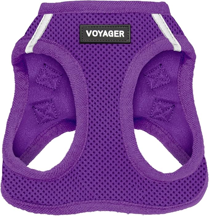Best Pet Supplies Voyager Step-in Air Harness - All Weather Mesh, Reflective, No Pull Harness for Dogs, Cats - Secure with Hook & Loop Fastener, Buckle, Double D-Rings - Purple, XS