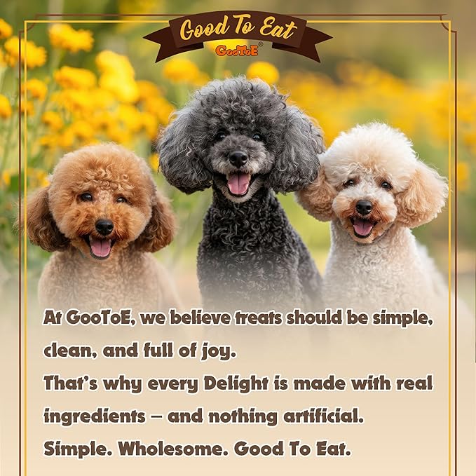Gootoe Turkey Tendons for Dogs –All-Natural, Hypoallergenic Dog Treats, Rawhide Alternative, Long Lasting Puppy Chews, Healthy Dog Treats for Large Breeds, Rope (L), 2 Count Pack