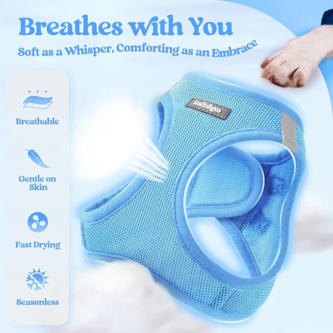 rabbitgoo Dog Harness Medium Sized and Leash Set, Step in Soft Light Puppy Vest, Breathable Mesh Pet Harness, Reflective for Safe Easy Walking, Blue XXL