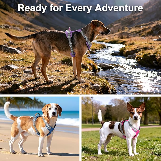 No Pull Dog Harness – Adjustable Reflective Nylon Vest for Small Medium Large Dogs, Escape Proof Training Harness with Leather Control Handle, Lightweight Aluminum Hardware (Green, M)