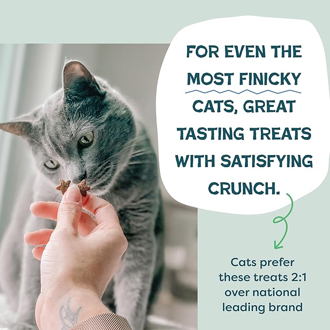 Shameless Pets Digestive Health Catnip Chicken Crunchy Cat Treats (Pack of 2)