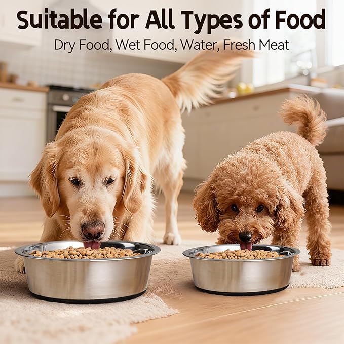 Stainless Steel Dog Bowls, Non Slip Dog Metal Bowls, 2 Pack Food and Water Pet Feeders Heavy Duty Dishwasher Safe (16oz, 2cup)