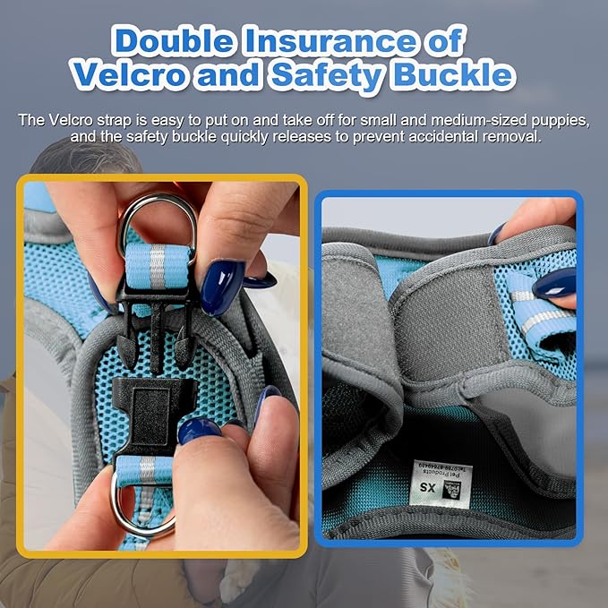 Dog Harness Medium Sized Dogs, Puppy Harness and Leash Set for Training, Running, Walking, Suitable for Small and Medium Dog Vest, Blue, M